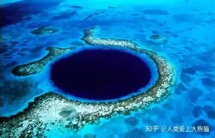 官方：郑钦文将于8月16日打的简单介绍|MW电子体育直播